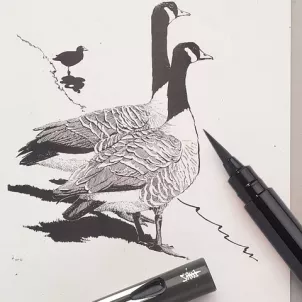 Pentel Pocket Brush Pen GFKP