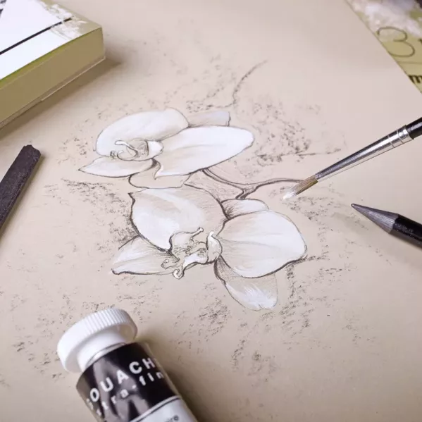 https://www.tintadlaplastykow.pl/gfx/groups/group_12074/t599_clairefontainde_paint_on_naturell.webp