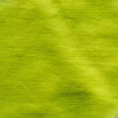 https://www.tintadlaplastykow.pl/gfx/groups/group_12739/t599_Kiwi.webp