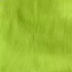 https://www.tintadlaplastykow.pl/gfx/groups/group_12758/t148_Kiwi_1522.webp
