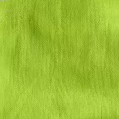 https://www.tintadlaplastykow.pl/gfx/groups/group_12758/t599_Kiwi_1522.webp