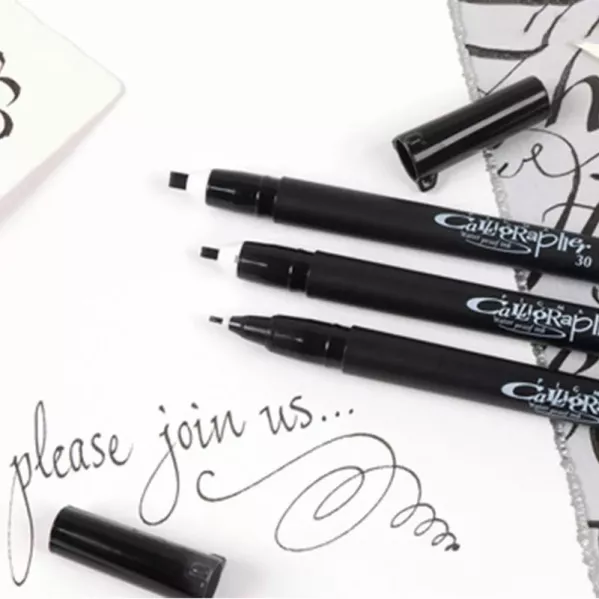 https://www.tintadlaplastykow.pl/gfx/groups/group_17480/t599_sakura_pigma_calligrapher_l.webp