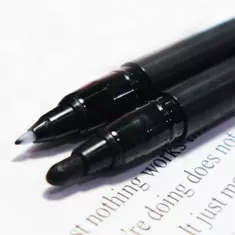 Pisaki Sakura Pigma Pen