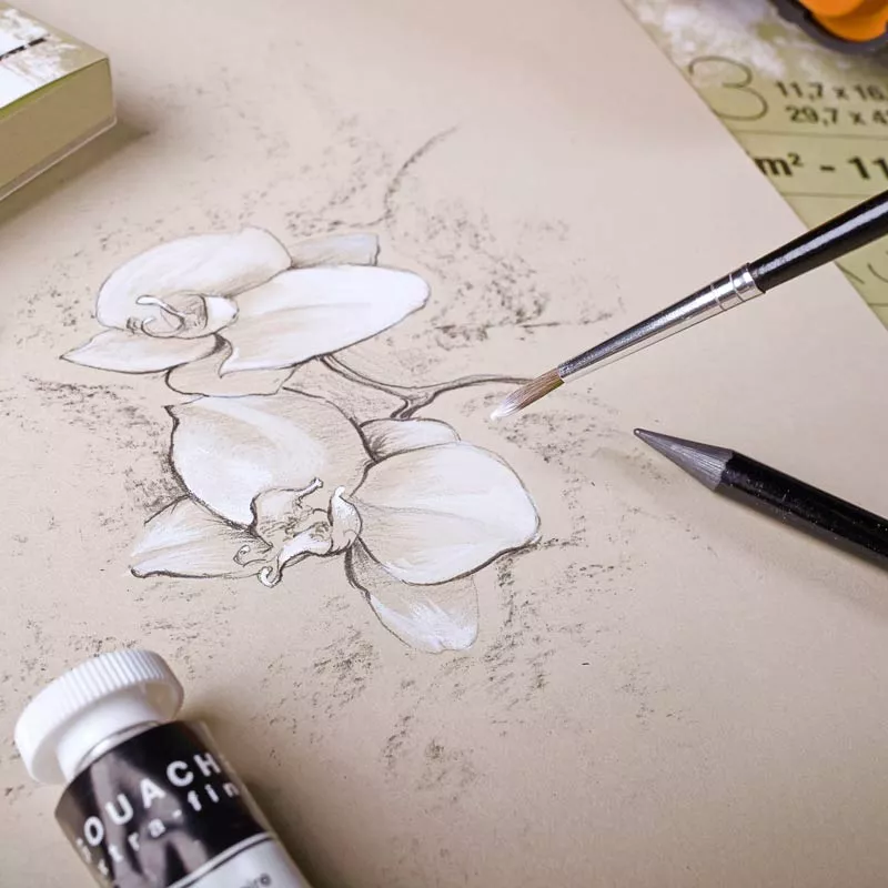https://www.tintadlaplastykow.pl/gfx/groups/group_19093/t92_blok_multi_techniques_clairefontaine_paint_on_naturel_kat_800.webp