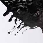 https://www.tintadlaplastykow.pl/gfx/groups/group_19101/t148_tusz_rysunkowy_winsor_newton_drawing_black_indian_ink_39.webp