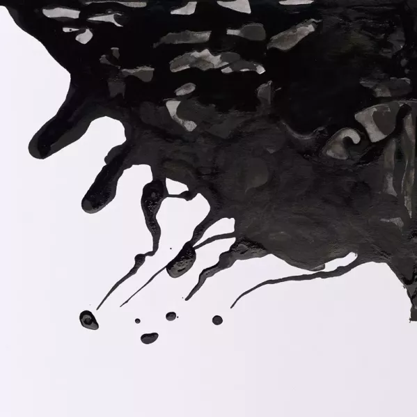 https://www.tintadlaplastykow.pl/gfx/groups/group_19101/t599_tusz_rysunkowy_winsor_newton_drawing_black_indian_ink_39.webp