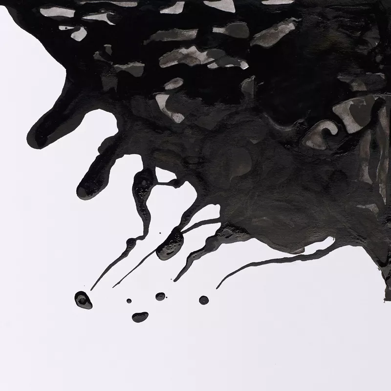 https://www.tintadlaplastykow.pl/gfx/groups/group_19101/t92_tusz_rysunkowy_winsor_newton_drawing_black_indian_ink_39.webp