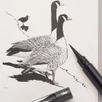 https://www.tintadlaplastykow.pl/gfx/groups/group_19269/t148_pentel_pocket_brush_pen.webp