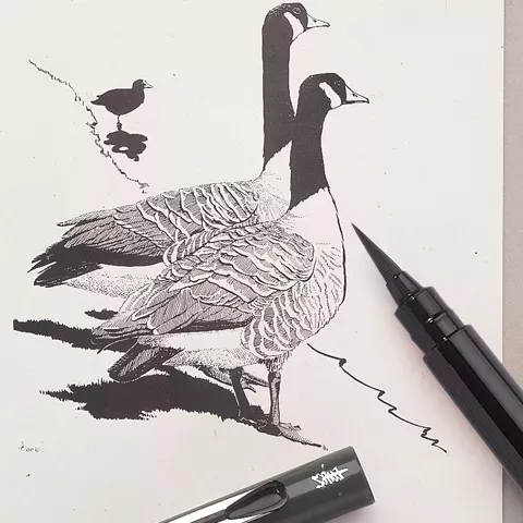 https://www.tintadlaplastykow.pl/gfx/groups/group_19269/t599_pentel_pocket_brush_pen.webp