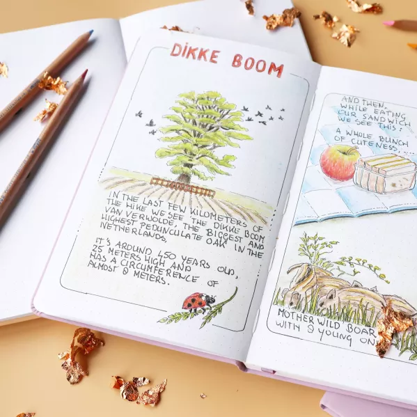 https://www.tintadlaplastykow.pl/gfx/groups/group_19737/t599_Notatnik-Bullet-Journal-Talens-Art-Creation-140-gsm-13-x-21-cm.webp