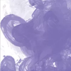 454 Velvet Violet