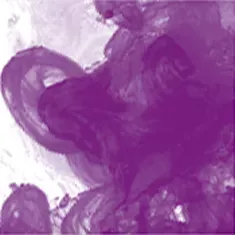 437 Purple Lake