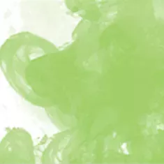 348 Light Green