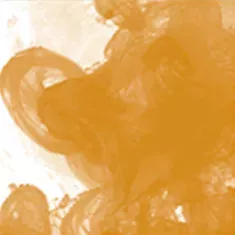 667 Raw Sienna