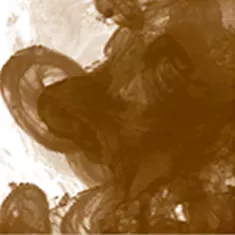 251 Sepia