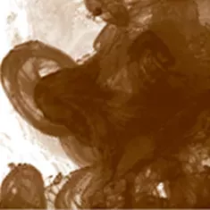 223 Burnt Umber