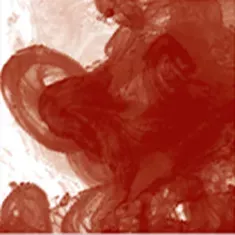 554 Red Earth