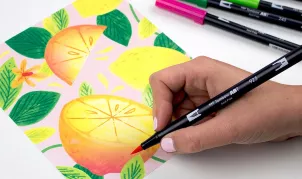 Tombow Dual Brush Pen -40%