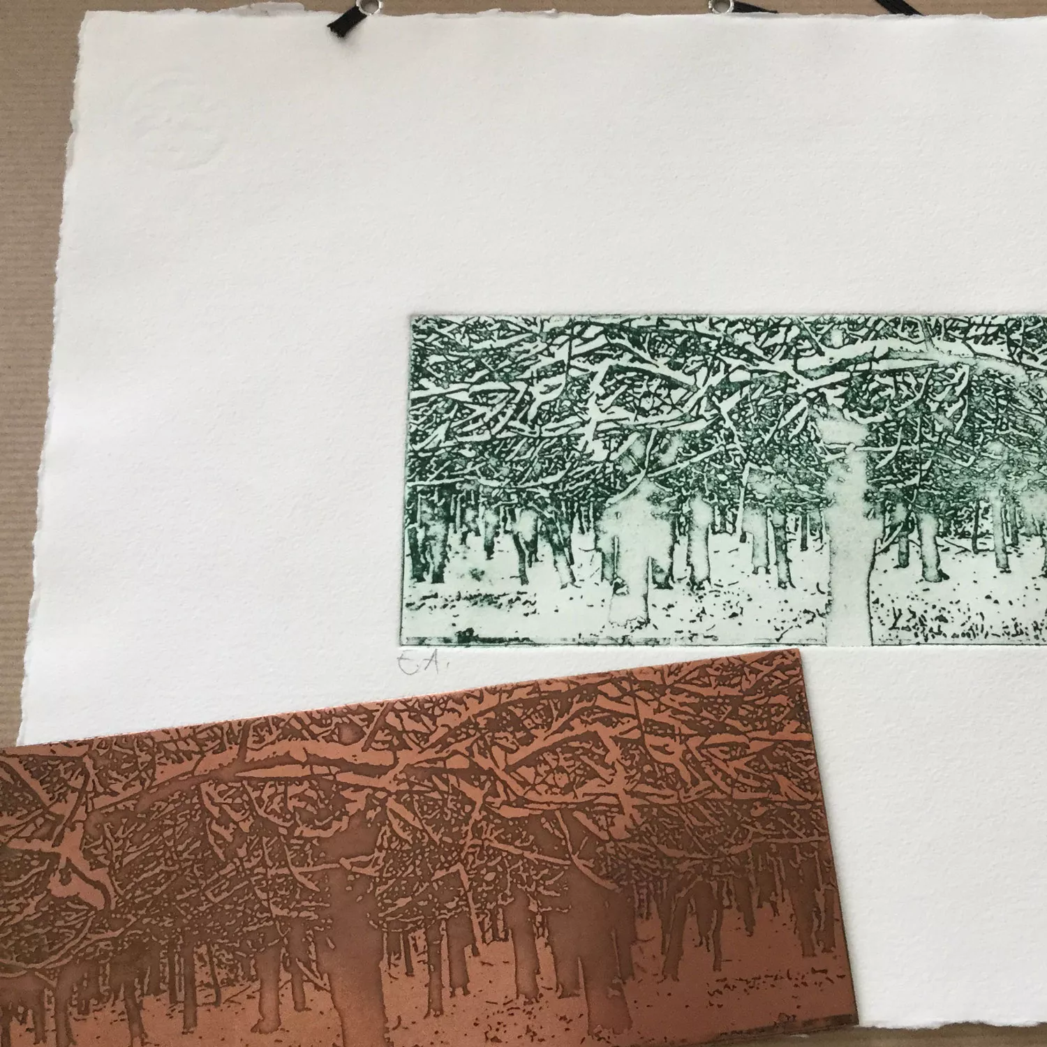 https://www.tintadlaplastykow.pl/gfx/groups/group_4889/t92_papier-graficzny-Hahnemühle-papier-do-grafiki-Papier-akwfafortowy_2.webp