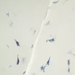 https://www.tintadlaplastykow.pl/gfx/groups/group_9397/t148_papier_czerpany_blawatek.webp