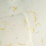 https://www.tintadlaplastykow.pl/gfx/groups/group_9398/t148_papier_czerpany_nagietek.webp