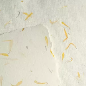 Papier Czerpany Nagietek