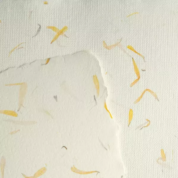 https://www.tintadlaplastykow.pl/gfx/groups/group_9398/t599_papier_czerpany_nagietek.webp