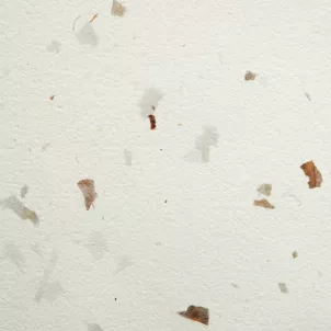 Papier Czerpany Cebula