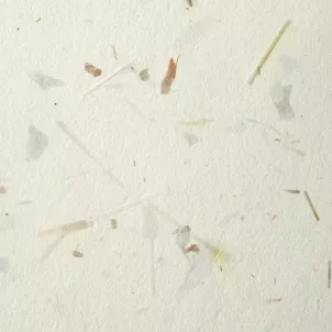 Papier Czerpany Cebula Z Trawą