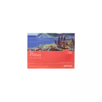 Blok Gamma Fabriano Pittura 24 x 32 cm 400 gsm 10 ark. P4002432k10