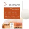 Blok do Akwareli Hahnem&uuml;hle Turner 300 gsm 36 x 48 cm 10628137