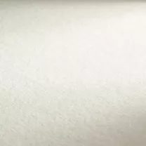 Papier do Akwareli Hahnem&uuml;hle Britannia Cold Pressed 300 gsm 70 x 100 cm 10140967