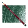 Kredka Pastelowa Derwent Pastel P410 Forest Green