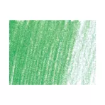 https://www.tintadlaplastykow.pl/gfx/photos/offer_113066/kredka-pastelowa-derwent-pastel-p430-pea-green_3_245572411151927.webp