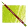 Kredka Pastelowa Derwent Pastel P480 May Green