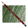 Kredka Pastelowa Derwent Pastel P500 Ionian Green