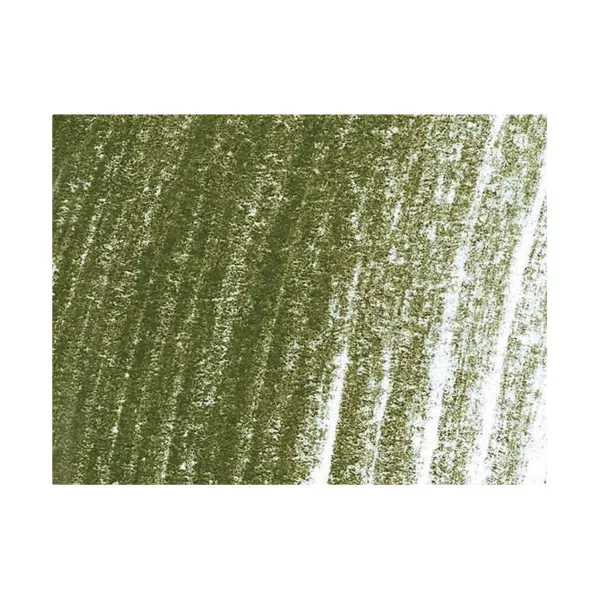 https://www.tintadlaplastykow.pl/gfx/photos/offer_113075/kredka-pastelowa-derwent-pastel-p520-dark-olive_3_415710015155327.webp