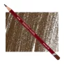 Kredka Pastelowa Derwent Pastel P550 Brown Earth