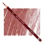 Kredka Pastelowa Derwent Pastel P620 Dark Sanguine
