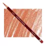 Kredka Pastelowa Derwent Pastel P640 Terracotta