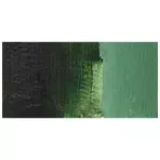 https://www.tintadlaplastykow.pl/gfx/photos/offer_118676/farba-akrylowa-daler-rowney-cryla-artists-acrylic-75-ml-sa-352-hookers-green_2_867250015152452.webp