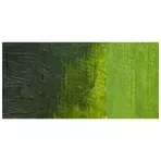 https://www.tintadlaplastykow.pl/gfx/photos/offer_118681/farba-akrylowa-daler-rowney-cryla-artists-acrylic-75-ml-sa-375-sap-green_2_1030657943151041.webp