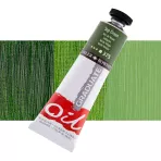 https://www.tintadlaplastykow.pl/gfx/photos/offer_119159/farba-olejna-daler-rowney-graduate-oil-38-ml-375-sap-green.webp
