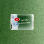 https://www.tintadlaplastykow.pl/gfx/photos/offer_123143/farba-akwarelowa-biale-noce-704-oxide-of-chromium_2_756411055090800.webp