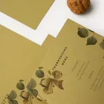 https://www.tintadlaplastykow.pl/gfx/photos/offer_124063/papier-favini-calligraphy-nature-a4-oliva-250-gsm-a69n5641_3_608496242115619.webp