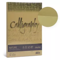 Papier Favini Calligraphy Nature A4 Oliva 250 gsm A69N564