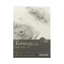 Blok Techniczny Gamma 250 gsm A3 10 ark. TEC2942K10