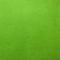 Filc Akrylowy 1,5 Mm 21x30 Cm Light Green 45514
