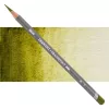 Oł&oacute;wek Derwent Graphitint 11 Ivy