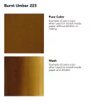https://www.tintadlaplastykow.pl/gfx/photos/offer_19152218/tusz-akrylowy-daler-rowney-fw-ink-30-ml-223-burnt-umber_2_578547713112622.webp